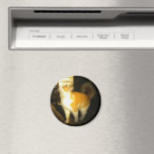 Aimant de chat d'or (In Situ (Lave-vaisselle))