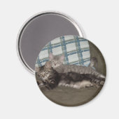 Aimant de chat fatigué (Recto/Verso)