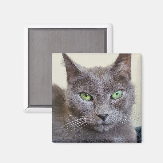 Aimant de chat gris (Recto/Verso)