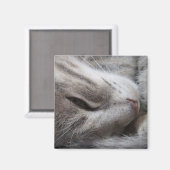 Aimant de chat gris (Recto/Verso)