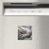 Aimant de chat gris (In Situ (Lave-vaisselle))