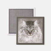 Aimant de chat - "Merlin" (Recto/Verso)