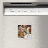 Aimant de chat mignon (In Situ (Lave-vaisselle))