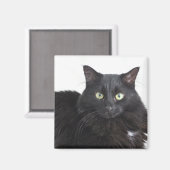 Aimant de chat noir (Recto/Verso)