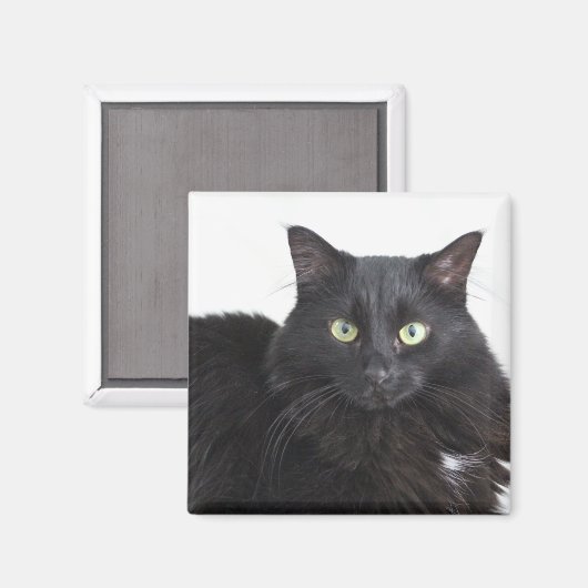 Aimant de chat noir (Recto/Verso)