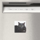 Aimant de chat noir (In Situ (Lave-vaisselle))