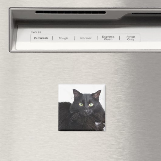 Aimant de chat noir (In Situ (Lave-vaisselle))