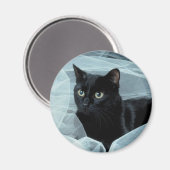 Aimant de chat noir (Recto/Verso)