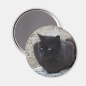 Aimant de chat noir (Recto/Verso)