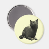 Aimant de chat noir paisible (Recto/Verso)