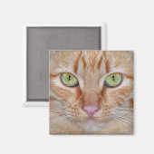 Aimant de chat orange (Recto/Verso)