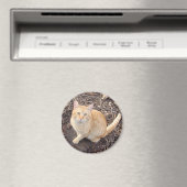 Aimant de chat orange (In Situ (Lave-vaisselle))