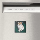 Aimant de chat perdu (In Situ (Lave-vaisselle))