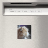 Aimant de chat perse purr (In Situ (Lave-vaisselle))