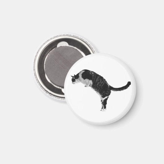 Aimant de chat texturé (Recto/Verso)