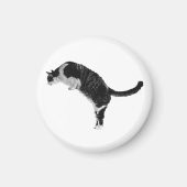 Aimant de chat texturé (Devant)