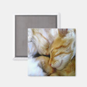 Aimant de chatons à bascule (Recto/Verso)