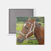 Aimant de cheval (Recto/Verso)