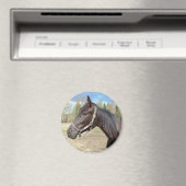 Aimant de cheval (In Situ (Lave-vaisselle))