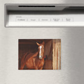 aimant de cheval de grange (In Situ (Lave-vaisselle))