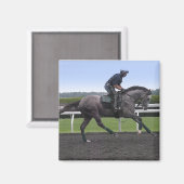 Aimant de cheval gris (Recto/Verso)