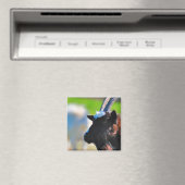 Aimant de chèvre (In Situ (Lave-vaisselle))