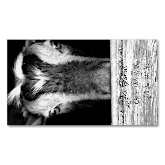 Aimant de chèvre (devant)