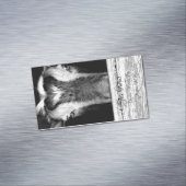 Aimant de chèvre (In Situ)