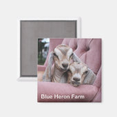 Aimant de chèvre de bébé Smooshie (Recto/Verso)