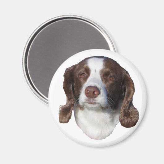 Aimant de chien (Recto/Verso)