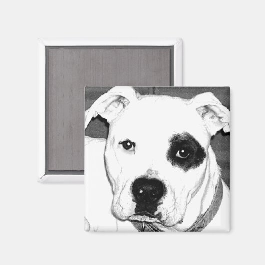 Aimant de chien (Recto/Verso)