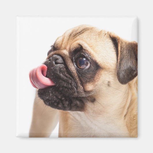 Aimant de chien mignon 1 (Devant)