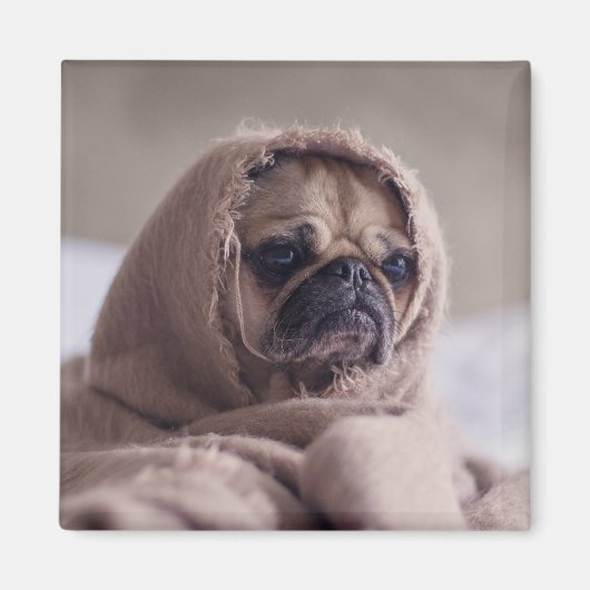 Aimant de chien mignon 3 (Devant)
