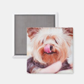 Aimant de chien mignon 8 (Recto/Verso)