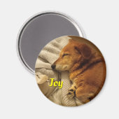 Aimant de chien souriant (Recto/Verso)