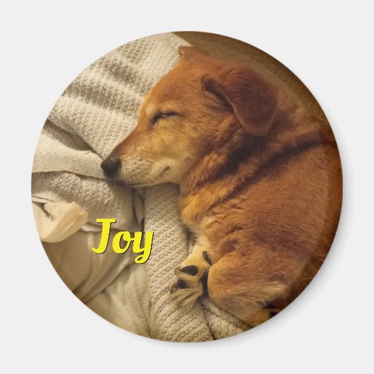 Aimant de chien souriant (Devant)