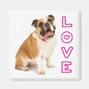 Aimant de chiot Bouledogue Anglais Amour