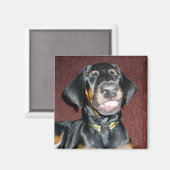 Aimant de chiot Doberman Pinscher souriant (Recto/Verso)