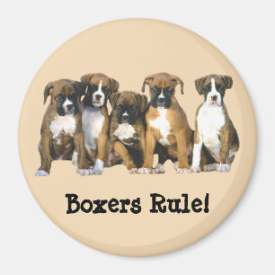 Aimant de chiots de boxeur