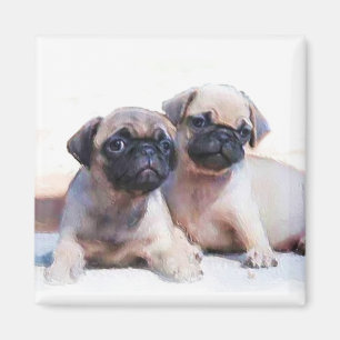 Aimant de chiots de carlin