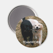 Aimant de chiots noir et blanc (Recto/Verso)