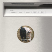 Aimant de chiots noir et blanc (In Situ (Lave-vaisselle))