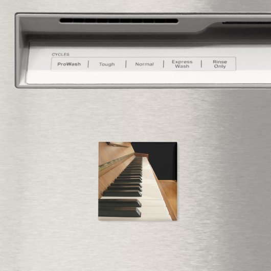 Aimant de clavier de piano (In Situ (Lave-vaisselle))