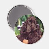 Aimant de cocaïer au chocolat (Recto/Verso)