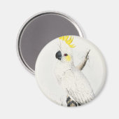 Aimant de Cockatoo à crête jaune (Recto/Verso)