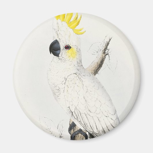 Aimant de Cockatoo à crête jaune (Devant)