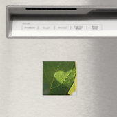 Aimant de cœur de feuille ensoleillée (In Situ (Lave-vaisselle))