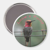 Aimant de colibri Love's Point légende (Recto/Verso)