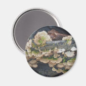 Aimant de colonie du champignon Shelf (Recto/Verso)