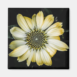 Aimant de confleur jaune en fleur de miel